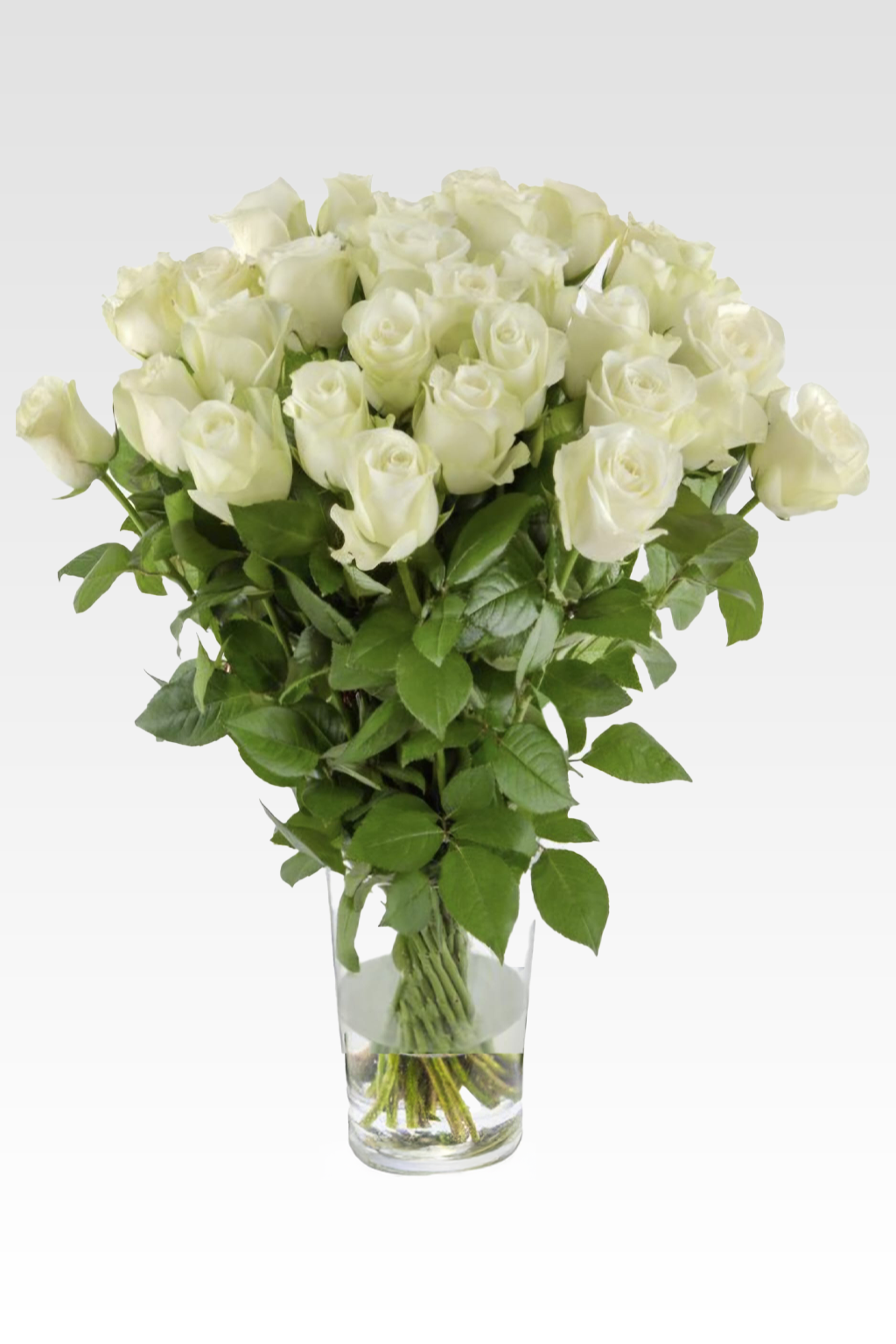Witte rozen (lang)